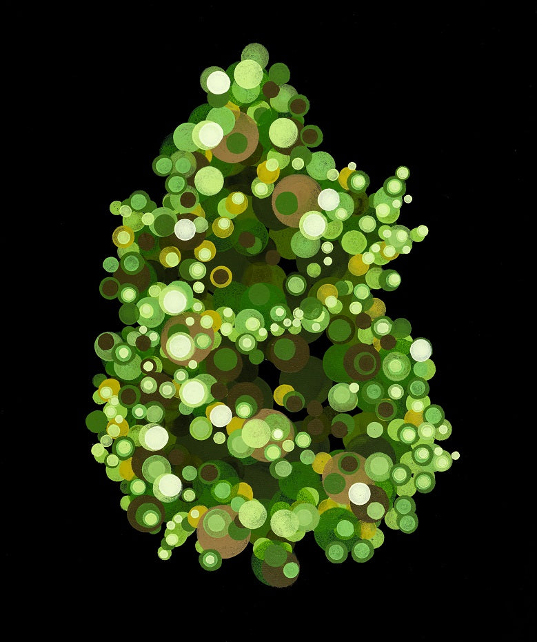 Watermelon - Transparent Utopia by Sadie Drucker