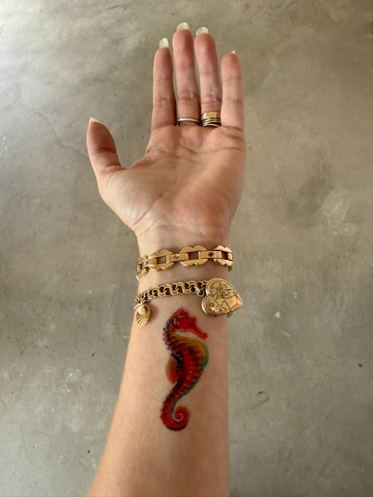 Tattoo - Seahorse - Transparent Utopia by Sadie Rose