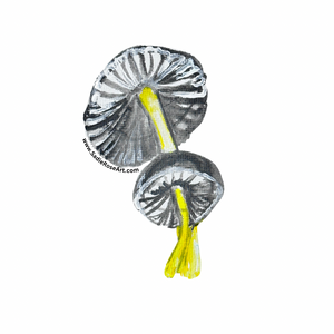 🍄 Small Sticker – Yellow Stem Mushroom (Double Cap) - Transparent Utopia by Sadie Rose