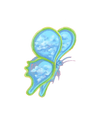 Tattoo – Butterfly - Transparent Utopia by Sadie Rose