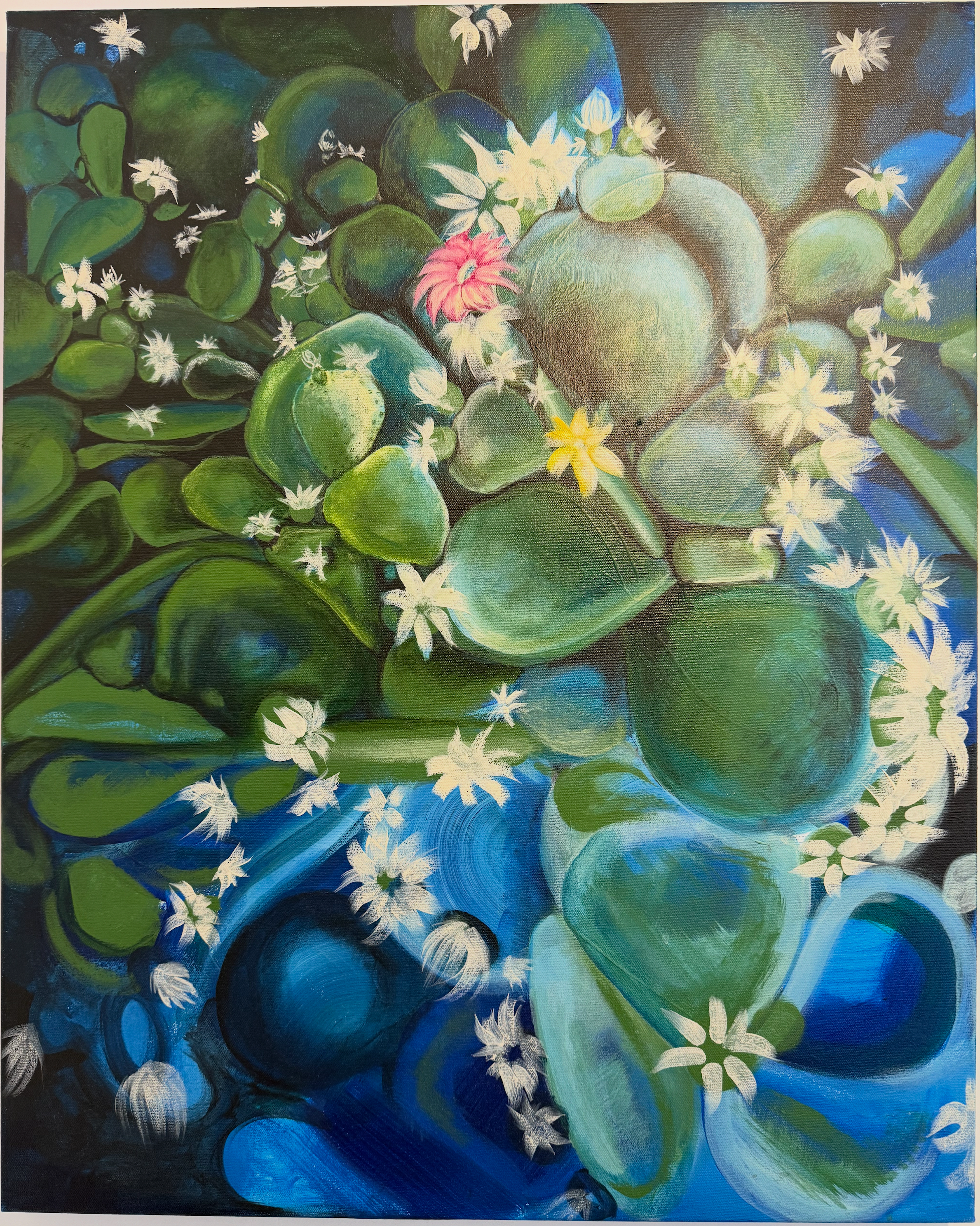 Prickly Pear Bloom🌵🌸 - Transparent Utopia by Sadie Rose