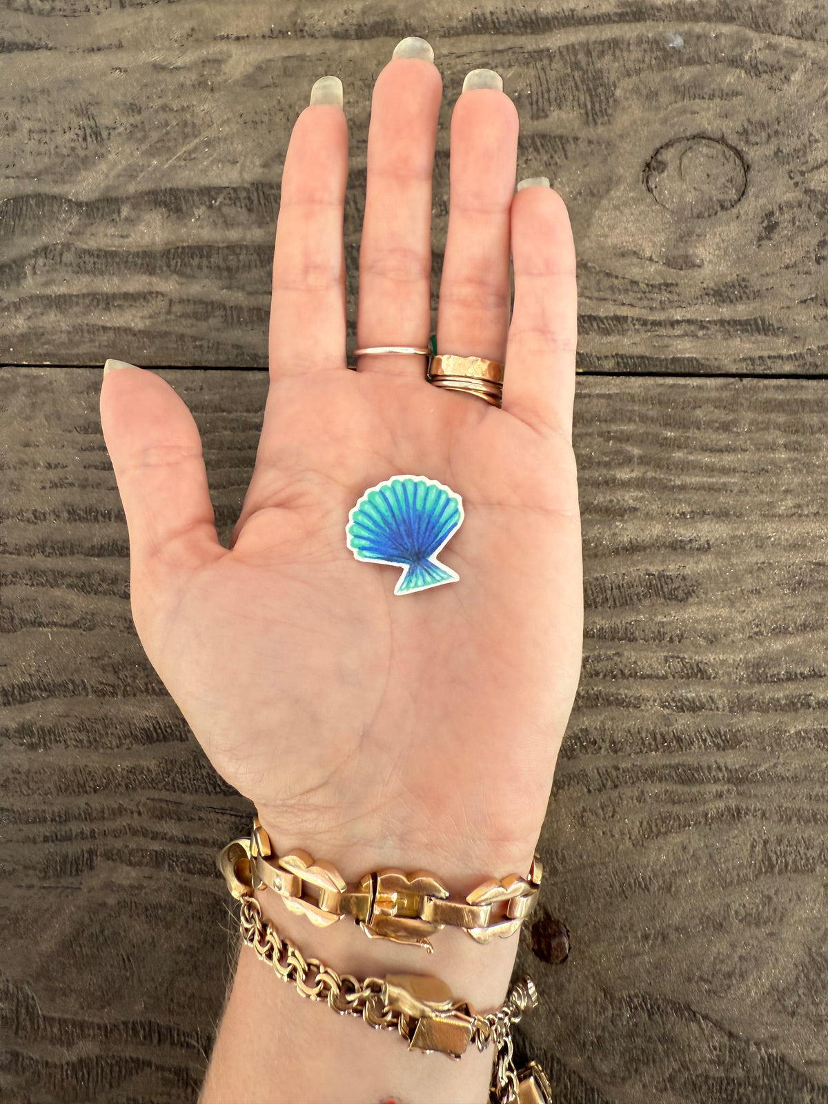 Tattoo - Shell 2 - Transparent Utopia by Sadie Rose