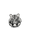 🐯 Small Sticker – Tiger - Transparent Utopia by Sadie Rose