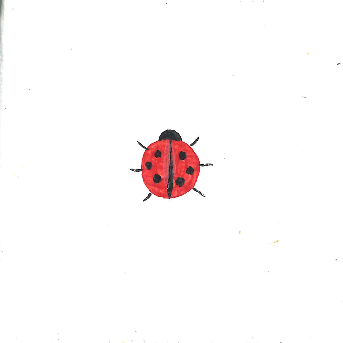 Tattoo – Ladybug - Transparent Utopia by Sadie Rose