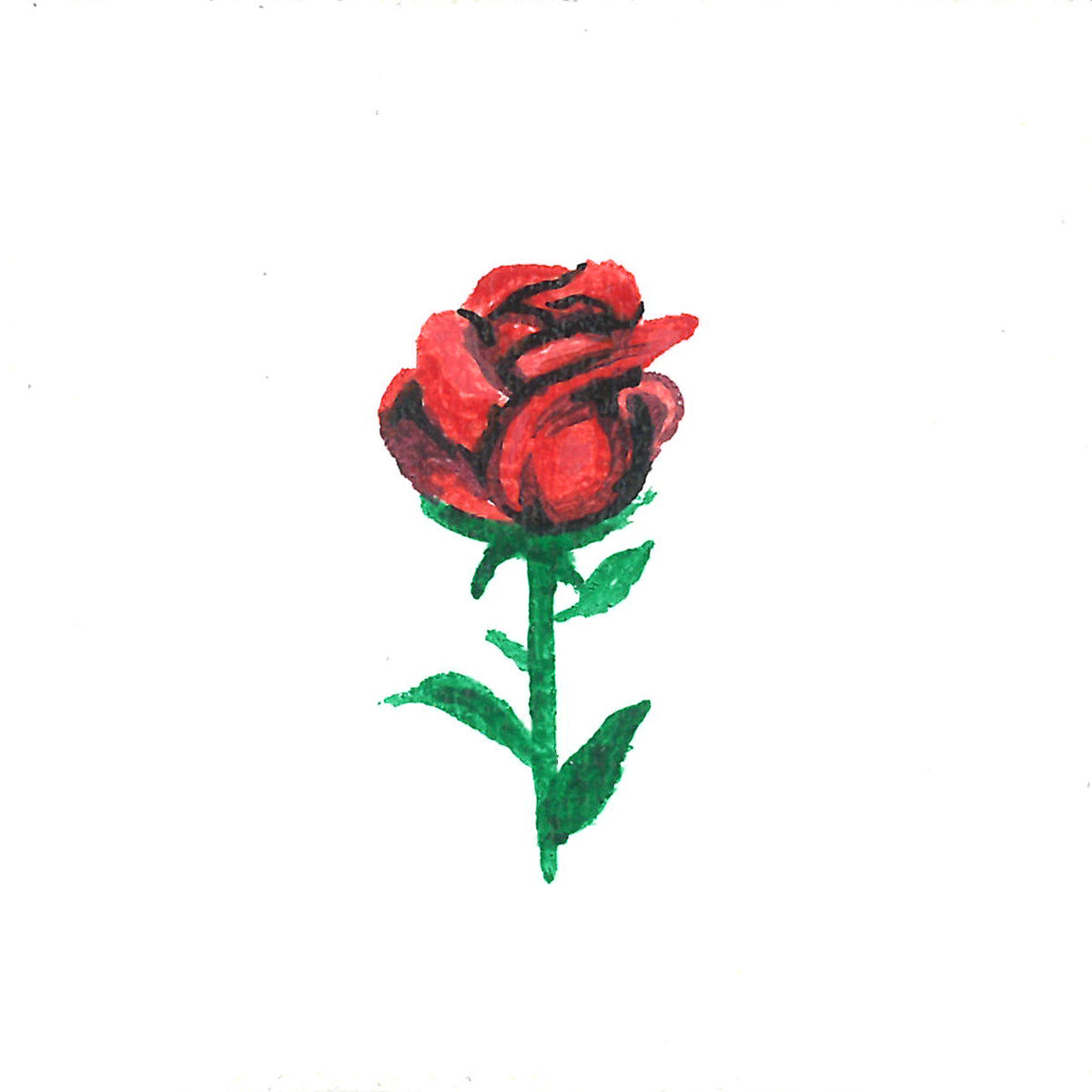 Tattoo – Rose - Transparent Utopia by Sadie Rose