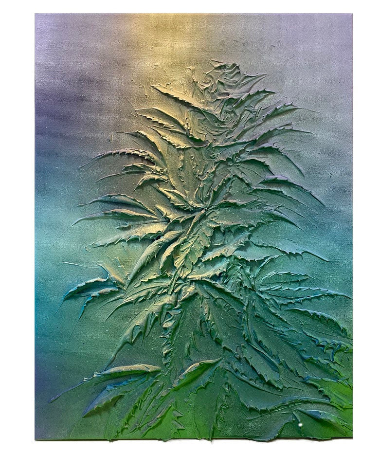 Purple Haze - Transparent Utopia by Sadie Drucker