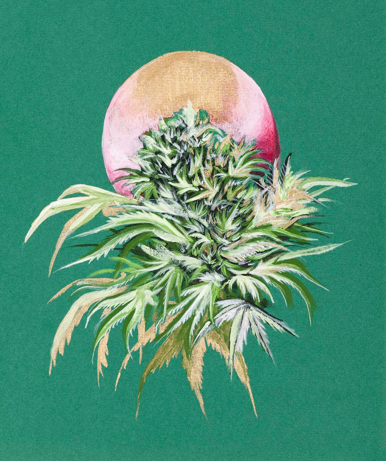 MJ Moon 1 - Transparent Utopia by Sadie Drucker